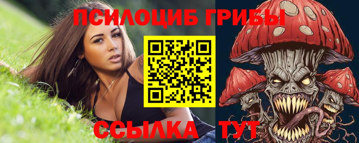 что такое наркотик  Псилоцибиновые грибы Psilocybine cubensis  Вход с VPN  Донской 